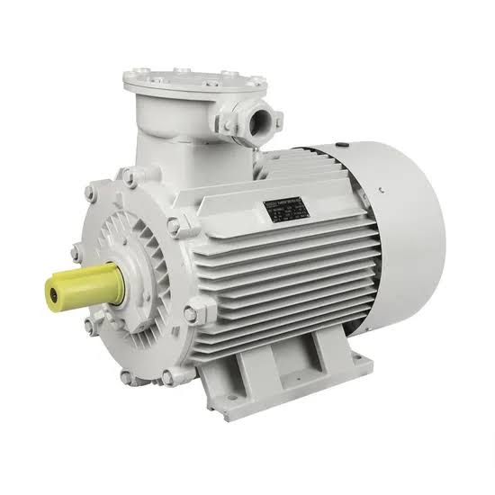 Ex-proof motor 220v